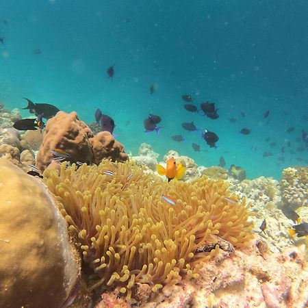 Kamadhoo Inn Εξωτερικό φωτογραφία